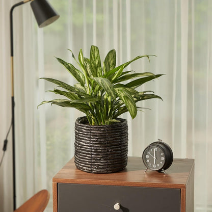 Set of 2 Water Hyacinth Planter Pot Indoor for Plant, Flower Pot, Succulent Pot, Basket Planter, Decorative Pot Cover (Black)