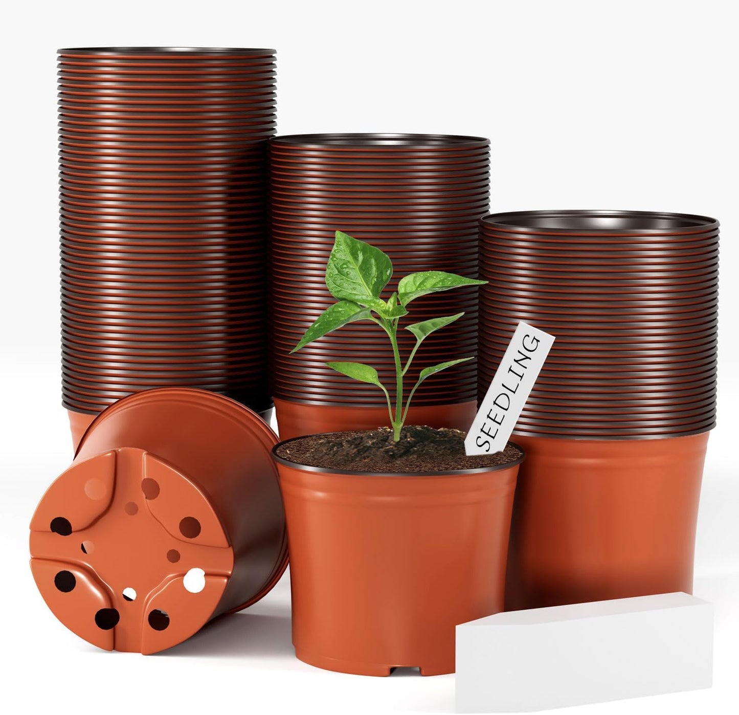100 Pcs Plant Nursery Pots, 6 Inch Large Plant Seedling Pots with Labels Plastic Plant Flower Pots with Drainage Holes Indoor Outdoor for Succulent Cutting Transplanting