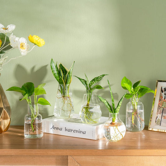 Mkono Propagation Vases for Plants, Set of 5 Small Glass Jar Planters for Hydroponic Cutting Flowers, Plant Station Bud Vases for Centerpieces Home Office Decor Gift