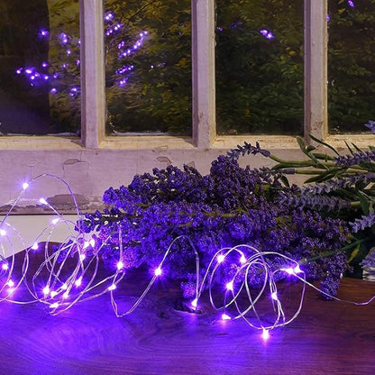2 Pack Solar Powered Fairy String Lights Outdoor Waterproof 8 Modes Twinkle Christmas Decorations Lights, Each 33ft-100LED, 40ft-120LED, 66ft-200LED, 80ft-240LED, (Purple, 66)