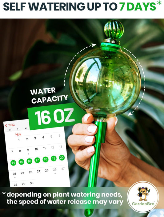 16 Oz Plant Watering Globes for Indoor Plants with Metal Self Watering Planter Insert - Premium XL Glass Hand-Blown Globe - Automatic Plant Waterer Indoor, Gift Idea for Gardeners [1 Globe, Green]