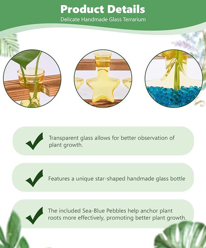 Nacome Star Glass Propagation Stations: Plant Terrarium with Wooden Stand Vase for Home Office Desk Decor, Unique Gifts for Plant Lovers Women Mom (Yellow)