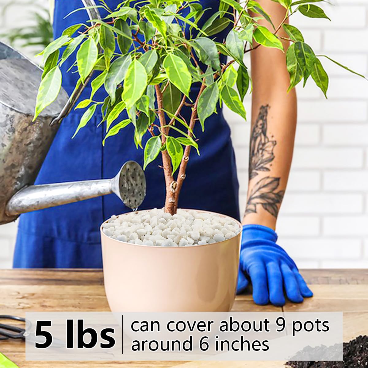 5LB Succulent and Cactus Gravel Pebbles, 3/8 Inch Natural Decorative Polished Stones, River Rocks for Plants, Vases, Aquariums, Terrarium and Outdoor Gardening, White