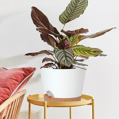 12inch Large Self Watering Plant Pot, Plastic Cylinder Planter with 60Oz Deep Reservoir and Saucer for Indoor Outdoor Plants Flowers Houseplants, White with Brown