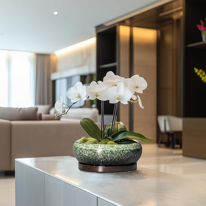 Bonsai Pots 8 Inch - Ceramic Succulent Pots with Drainage Hole and Saucer, Shallow Plant Pot for Indoor Outdoor, Bonsai Tree Pots, Round Planter Bowl, Home Decor, Gift for Plant Lover, Green