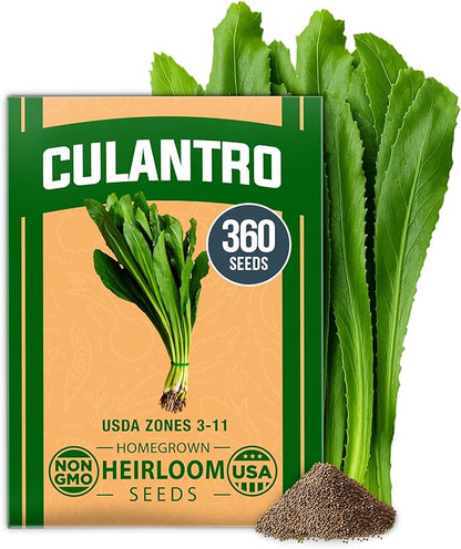 HOME GROWN 𝗨𝗦𝗔 𝗣𝗥𝗘𝗠𝗜𝗨𝗠 Culantro Seeds 360 Herb Seeds for Planting Non-GMO Heirloom Variety, Robust Flavor, Thrives in Heat, Grows Indoors or Outdoors, Cilantro Substitute (Eryngium Foetidum)