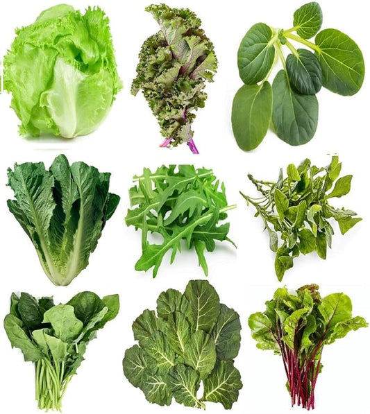Greens Seeds Collection, 2500+ Seeds, 9 Heirloom Varieties, Arugula, Beet, Upland Cress, Vates Collard, Red Russian Kale, Crisphead Lettuce, Parris Island Lettuce, Tatsoi Mustard, Viroflay Spinach
