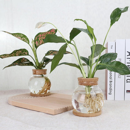 Plant Propagation Station,Hydroponic Glass Container Vase Jars, with Wooden Saucer for Desks, Houses, Garden Decorations, Home Kitchen Decorations and Gifts for Plant Lovers (9)