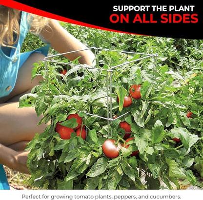 Cedar Ridge Square Foldable Tomato Cages - Made in USA Heavy Duty Plant Support for Vegetable Garden, Vegetables, and Flowers - Stakes and Trellis for Climbing Plants (13x56) 3-Pack