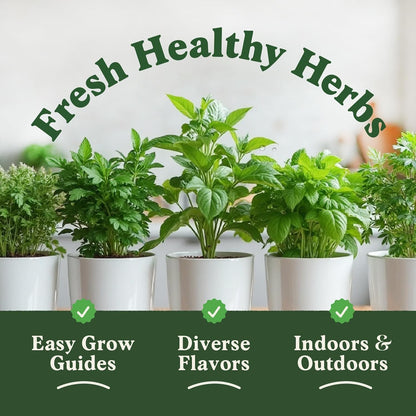 Seedboy Organic 5 Herb Variety Pack: Basil, Mint, Rosemary, Parsley, Cilantro for Planting Indoor and Outdoor, Non-GMO and USDA Certified Seed Packets (5 Herb Variety Pack)