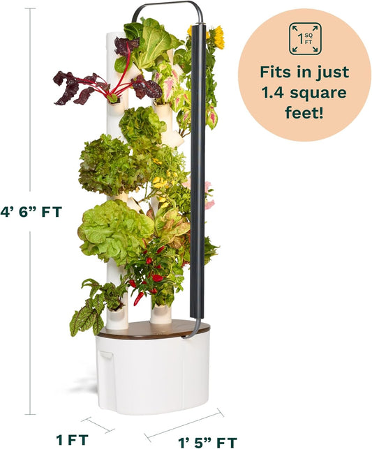 Gardyn Studio Vertical Hydroponics Growing System Kit - 16 Non-GMO Plants, Herbs, Vegetables - Tower Garden - Hydroponic Herb Garden Planter Indoor Kit - Indoor Gardening System with LED Grow Lights