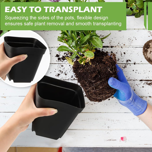 Square Nursery pots 4 Inches 60Pcs, Seedling Plastic Seeds propogation Growing Pots (Black,4Inches,60Pcs)