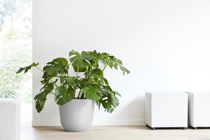 Ecopots Oslo Durable Modern Round Indoor/Outdoor Recycled-Based Composite Flower Pot Planter, White Grey, 14"