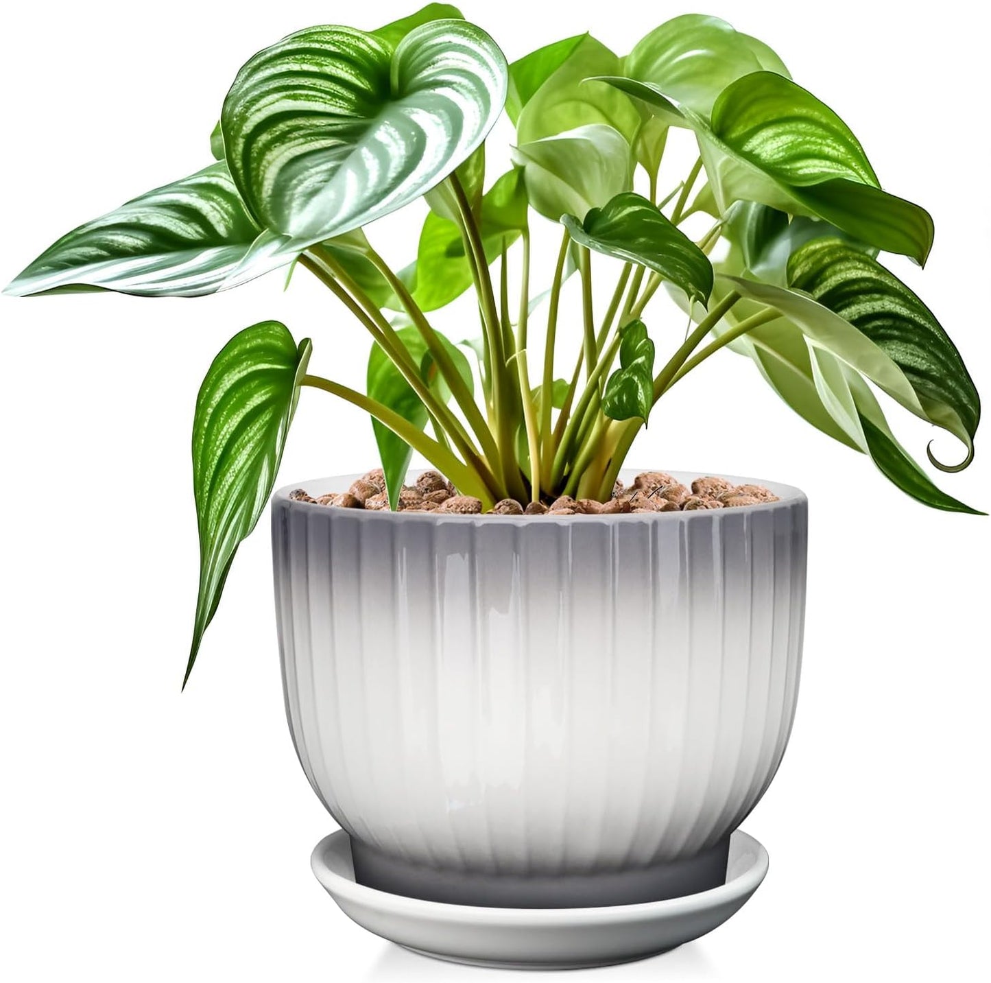 8 Inch Plant Pot, Ceramic Planter with Drainage and Saucer, Ceramic Pots for Plants, Indoor Plant pots,Ceramic Flower pots(Gray + White, Plants NOT Included)