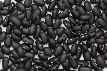 Black Turtle Seeds,25 Count Bean COOL BEANS N SPROUTS Brand. Home Gardening.