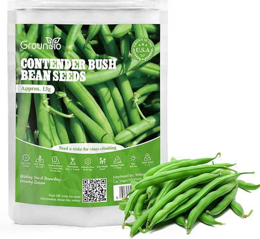 Contender Bush Green Bean Seeds, Approx 13g - Non-GMO Heirloom Green Beans Planting for Outdoor Home Vegetable Garden