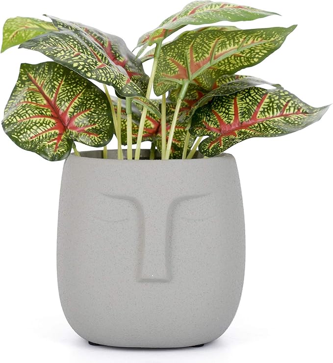 VanEnjoy 5.5 Inches Grey Ceramic Head Face Planter Pot for Plants, Modern Indoor Outdoor Vase, Face Statue Plant Pot for Home Decoration