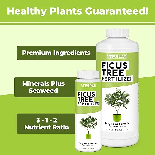TPS NUTRIENTS Ficus Tree Fertilizer for All Ficus, Fig and Moraceae Plants, Liquid Plant Food, 32 oz (1 Quart)