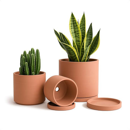 D'vine Dev Terracotta Pots for Plants, 4.2 Inch 5.3 Inch 6.5 Inch, Succulent Planter Pot with Drainage and Saucer, 40-T-A-0
