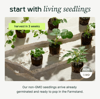 Farmstand Starter Kit with Glow Rings and 18 Seedling Credits | Small Hydroponic Growing System Kit | Vertical Garden Planter Tower | 4ft 3in Tall
