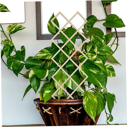Wooden Plant Trellis Climbing Support with Elegant Honeycomb Design Indoor Garden Frame for Vines Orchids Tomatoes Easy Assembly Versatile Climbing Vegetable and Indoor Plant Stand