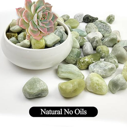 5LB Succulent Jade Pebbles for Indoor Plants, 0.7-1.2 Inch Natural Polished Stones,Decorative River Rocks for Succulent, Vase, Flowerpot, Landscaping, Outdoor Garden and Planters