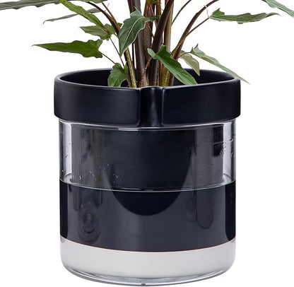 Phoenix Vine 8 Inch Self Watering Terracotta Planter, Black Terracotta Clay Pot with Glass Reservoir for Indoor Plants, Herbs, Flowers, Set of 1, 52-C-H-1