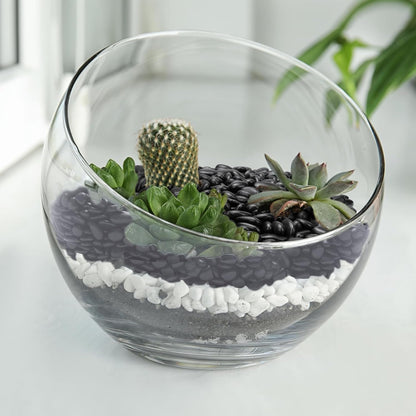 10 lbs Black Pebbles for Indoor Plants, Succulent, Bamboo, Vase, 3/8" Plant Rocks for Pots Indoor, Small River Rocks Decorative Pea Gravel, Highly Polished