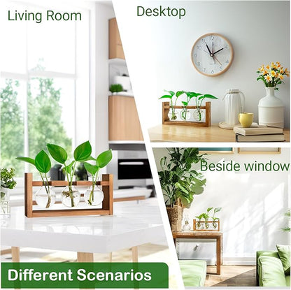 Propagation Station, Plants Terrarium, Plants Lover Gifts for Women,Plant Cutting Holder Home décor,Gifts for Women,House Warming New Home-3 Bulbs-Easy