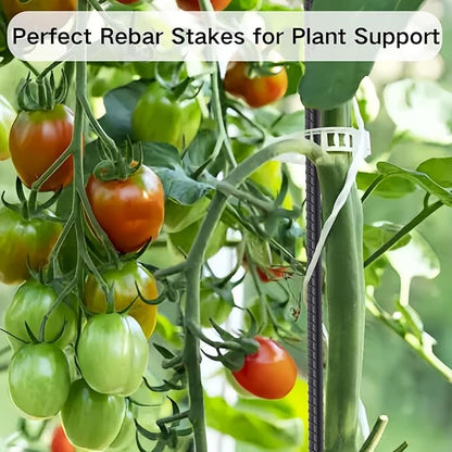 24 Inch Straight Rebar Stakes 16 Pack 1/2 Inch Diameter Metal Stakes for Garden with Chisel Point End Heavy Duty Steel Ground Anchors for Concrete Form, Landscape Timber, Plant Support, Black