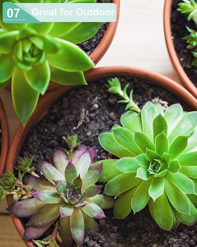 vensovo 5.7 Inch Terracotta Shallow Succulent Pot - 6 Pack Terra Cotta Clay Pots with Saucer, Cacuts Terra-Cotta Indoor and Outdoor Planters with Drainage Hole
