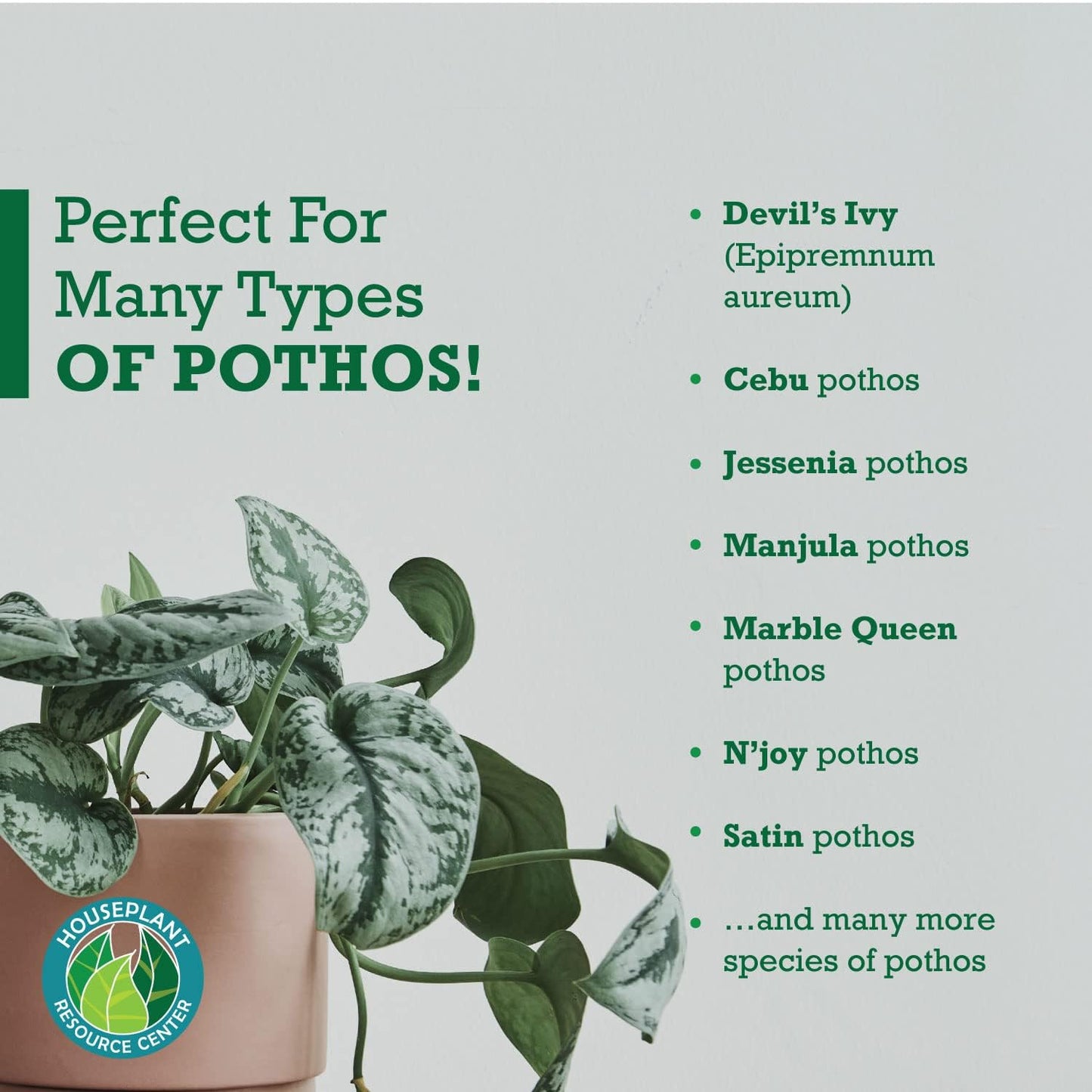 Pothos Fertilizer – Liquid Plant Food for Strong Roots, Healthy Growth & Lush Foliage – 3-3-3 NPK Formula with Sea Kelp, Humic & Fulvic Acid – Essential Nutrients for Neon Pothos or Devil’s Ivy – 8 oz