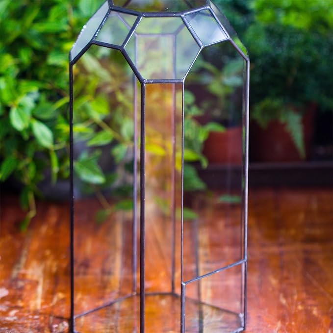 NCYP Open Glass Geometric Terrarium for Plant, Succulent, Cacti - 5.5"x5.5"x12.8" Indoor Tall Octagon Glass Planter, Home Garden Office Vintage Decoration, Micro Landscape (Terrarium Only)
