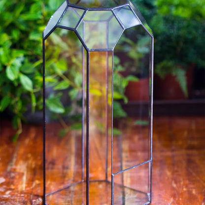 NCYP Open Glass Geometric Terrarium for Plant, Succulent, Cacti - 5.5"x5.5"x12.8" Indoor Tall Octagon Glass Planter, Home Garden Office Vintage Decoration, Micro Landscape (Terrarium Only)