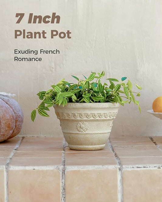 Bamworld 7 Inch Plant Pots for Indoor Outdoor Plants Embossed Flower Pots with Drainage Unglazed Porous Ceramic Planter Pot for Plants Clay Pot for Succulent Room & Office Decor