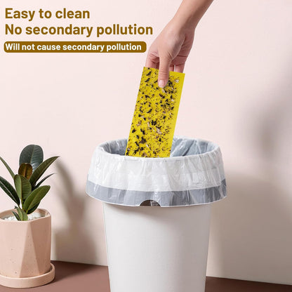 10 Refills UV Fly Light Trap Indoor for Home Gnat Traps for House, Wall Sconce Fly Light Bug Catcher for Kitchen House & Restaurant Fruit Flies Garage & Warehouse