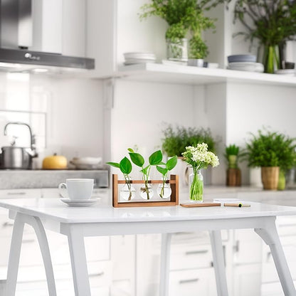 Propagation Station, Plants Terrarium, Plants Lover Gifts for Women,Plant Cutting Holder Home décor,Gifts for Women,House Warming New Home-3 Bulbs-Easy