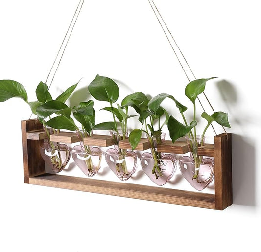 Plant Terrarium Hanging Propagation Stations Gift for Women Air Plants Holder with Wooden Stand Heart Glass