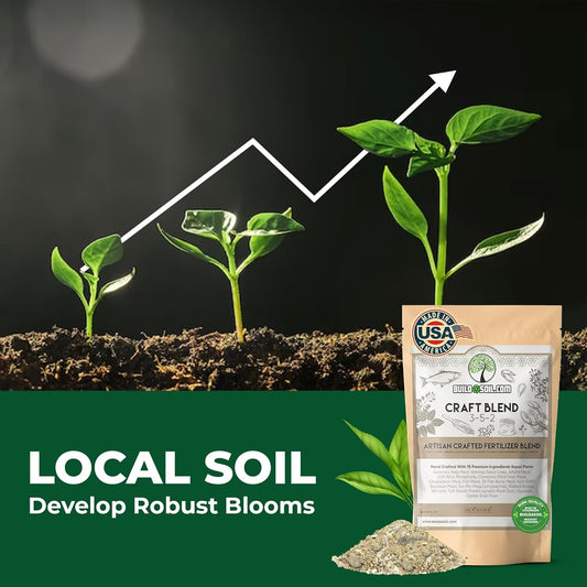 BuildASoil Fertilizer for Vegetable Garden and Ogranic Plant Food | Hand-Crafted Organic Fertilizer with 15 Premium Ingredients | Ensures Larger Plants and More Fragrant Flowers (10 LB - Medium Bag)