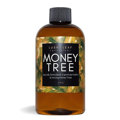 Lush Leaf | Plant Food (Money Tree)