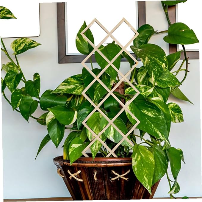 Wooden Climbing Plant Trellis for Indoor Gardens Honeycomb Support Frame Easy Assembly Plant Rack for Vines Orchids Tomatoes Indoor Climbing Vegetable Support