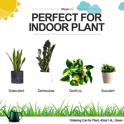 WhaleLife Indoor Watering Can for House Bonsai Plants (1.4L, Green)