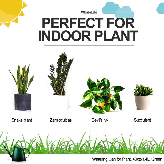 WhaleLife Indoor Watering Can for House Bonsai Plants (1.4L, Green)