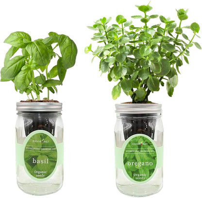2-Pack Hydroponic Mason Jar Herb Garden Kit, Indoor Herb Garden Self-Watering Starter Kit (Basil,Oregano)