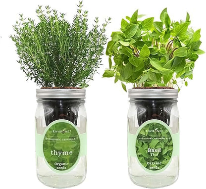 2-Pack Hydroponic Mason Jar Herb Garden Kit, Indoor Herb Garden Self-Watering Starter Kit (Thyme,Thai Basil)