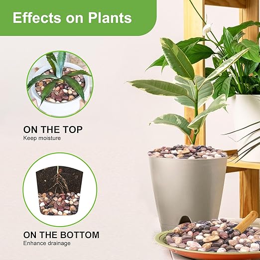 5 Pound Decorative Rocks for Planters, 1"- 1 1/2", Pebbles for Indoor Plants, Vases, Polished Stones for Garden and DIY Decor