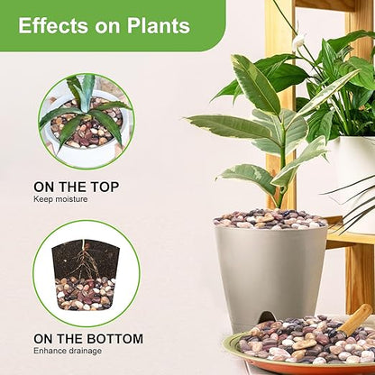 15 lbs River Rocks for Plants, 1-1/2 inch Decorative Garden Rocks Outdoor Landscaping, Large Polished Natural Stone for Walkways, Yard, Vases, Crafts