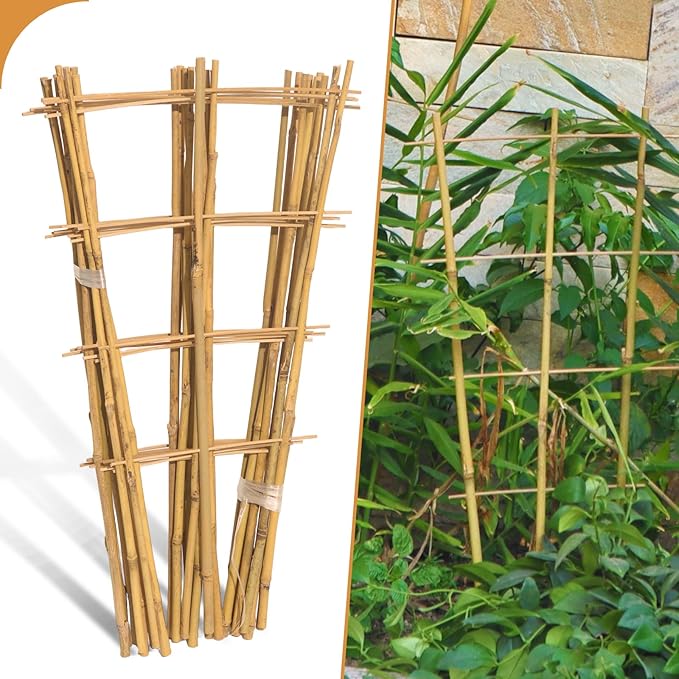 10 Pack 2ft Bamboo Trellis for Climbing Plants-Natural Garden Ladder Trellis, Fan -Shaped Support Trellis for Potted Plant Decor in Door