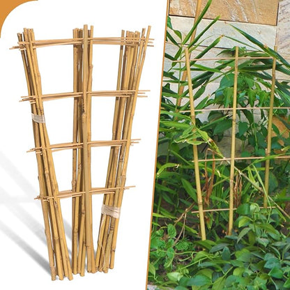 10 Pack 2ft Bamboo Trellis for Climbing Plants-Natural Garden Ladder Trellis, Fan -Shaped Support Trellis for Potted Plant Decor in Door