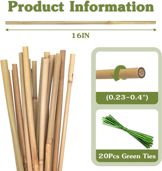 Plant Stakes 16inch, 20Pcs Natural Bamboo Sticks Garden Stakes, HAINANSTRY Plant Support Stakes for Indoor & Outdoor Plants, Orchid Tomato Vegetable Stakes for Garden